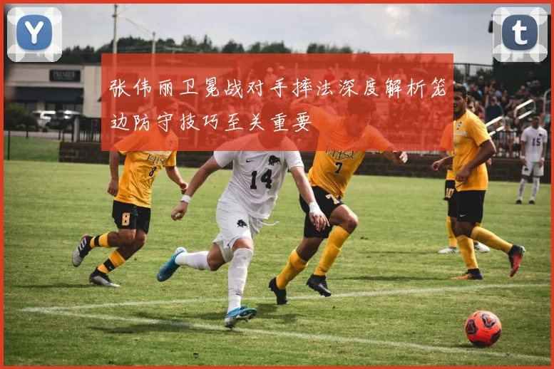 张伟丽卫冕战对手摔法深度解析笼边防守技巧至关重要