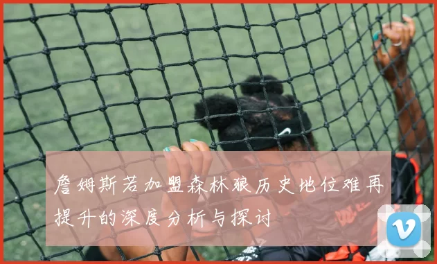 詹姆斯若加盟森林狼历史地位难再提升的深度分析与探讨