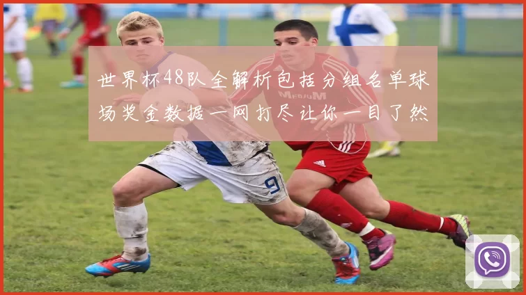 世界杯48队全解析包括分组名单球场奖金数据一网打尽让你一目了然