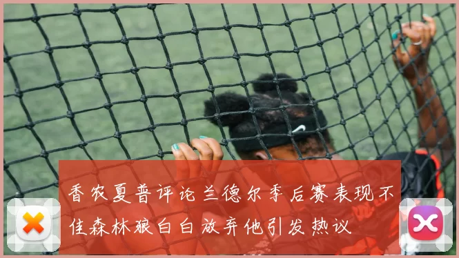 香农夏普评论兰德尔季后赛表现不佳森林狼白白放弃他引发热议
