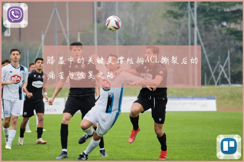 膝盖中的关键支撑结构ACL撕裂后的痛苦与恢复之路